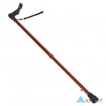 Трость Dayang Medical TS710 